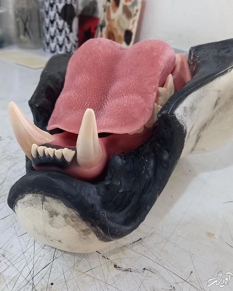 این زنان مشهور در ملاعام تبدیل به گرگ و پلنگ شدند